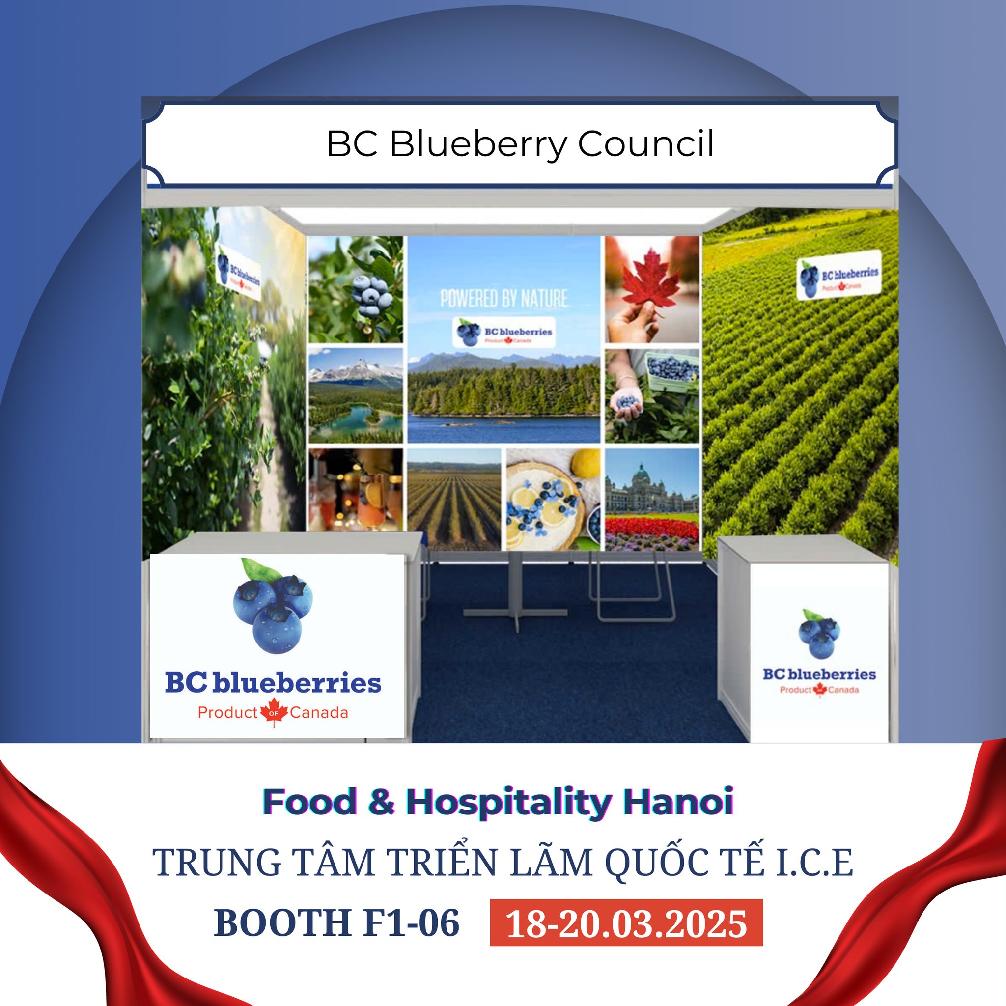 bc-blueberries-food-hospitality-hanoi-2025