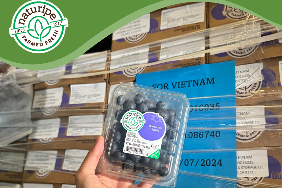 2d-one-x-us-blueberry-council-chien-dich-welcome-new-season