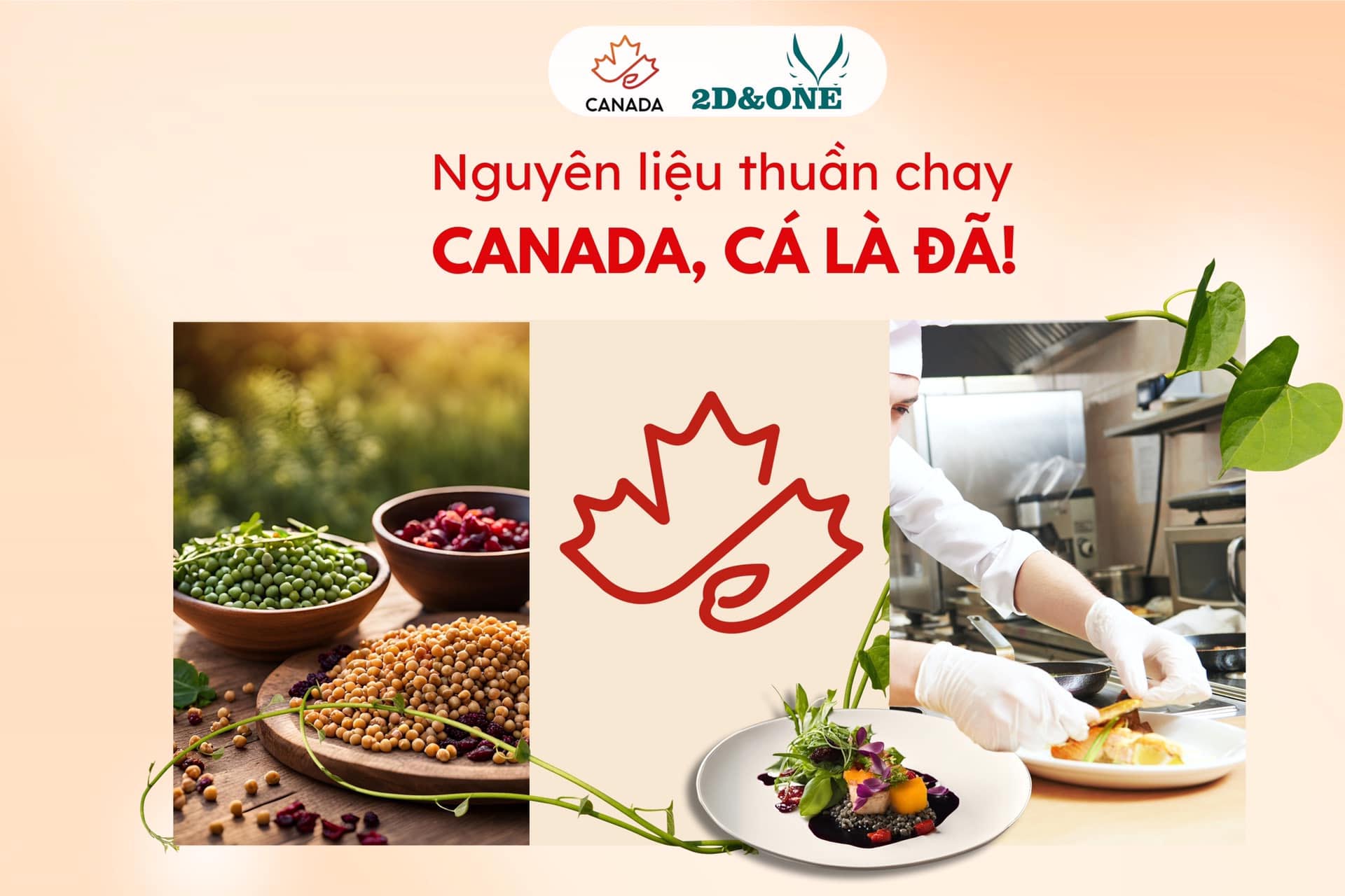2d-one-dong-hanh-dai-su-quan-canada-to-chuc-chuoi-workshop-cuoc-thi-nguyen-lieu-thuan-chay-canada-ca-la-da-tai-trung-tam-dao-tao-nghe-koto
