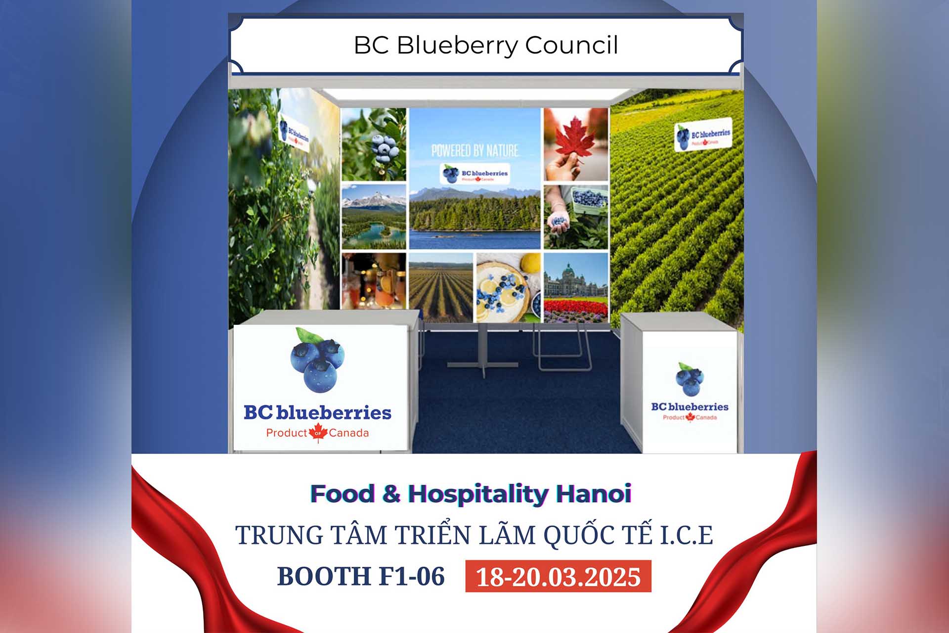 bc-blueberries-food-hospitality-hanoi-2025
